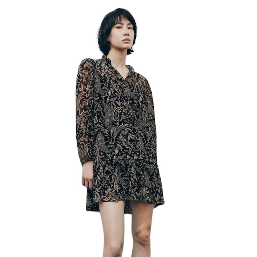 Zara Printed Dress